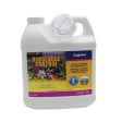 Bio Sludge Control Laguna Online Hot Sale