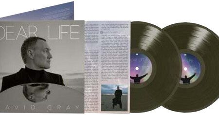 David Gray - Dear Life LP (Green Vinyl) Discount