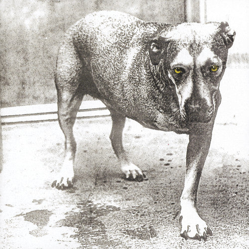 Alice In Chains - Alice In Chains CD Online