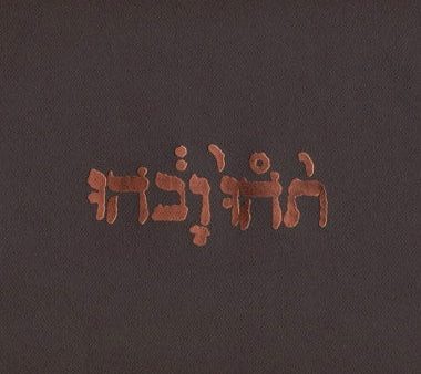 Godspeed You Black Emperor - Slow Riot For New Zero Kanada EP 12-inch Online