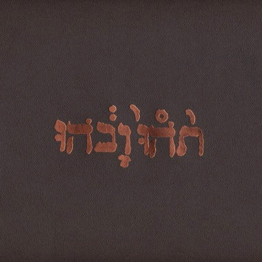 Godspeed You Black Emperor - Slow Riot For New Zero Kanada EP 12-inch Online