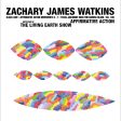 Zachary James Watkins - Affirmative Action LP on Sale