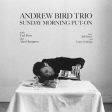 Andrew Bird Trio - Sunday Morning Put-On LP (Ruby Red Vinyl) Online now