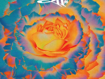 311 - Full Bloom CD Discount