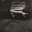 Bill Evans & Jim Hall - Undercurrent LP For Cheap