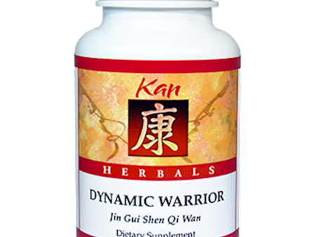 Dynamic Warrior Online Sale