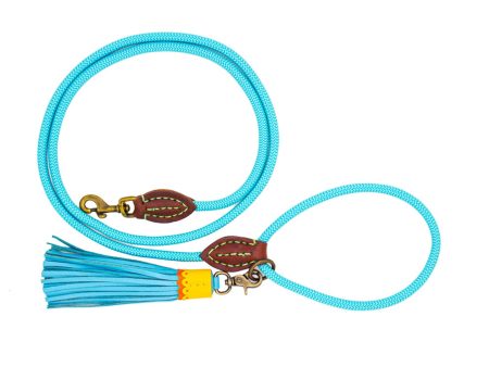 Blues Dog Lead by DWAM Online