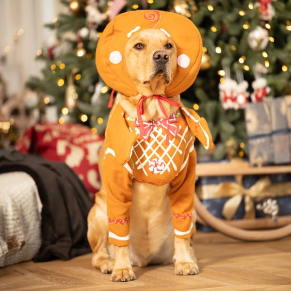 Christmas Gingerbread Pup Fancy Dress Costume Supply