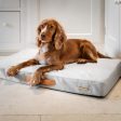 Essentials Twill Orthopaedic Mattress in Linen by Lords & Labradors on Sale