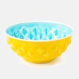 Lemon & Lime Food Bowl by DWAM Supply