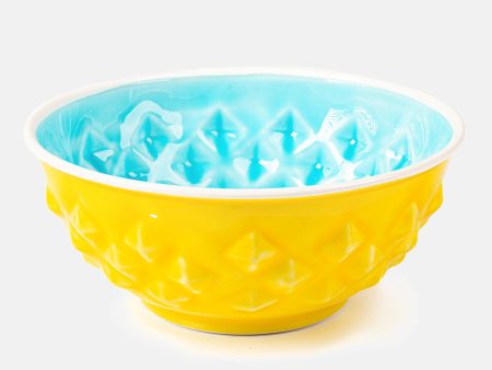 Lemon & Lime Food Bowl by DWAM Supply