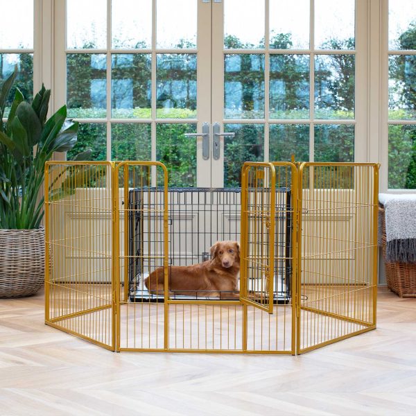 Puppy Play Pen & Crate Extension in Gold by Lords & Labradors For Sale