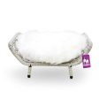 House of Heaven Rome Cat Bed Fashion