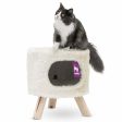 Kings & Queens Victoria 45cm Cat Bed Hot on Sale