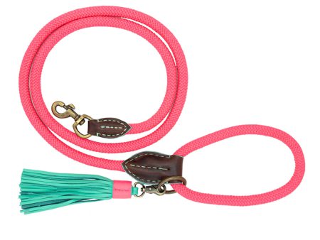 Sugarbabe Dog Lead by DWAM Online