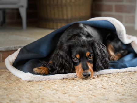 Essentials Twill Blanket in Denim by Lords & Labradors on Sale