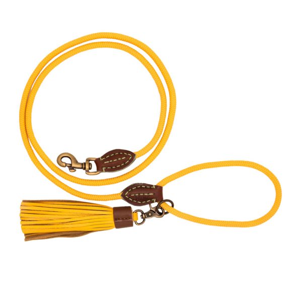 Bibi Dog Lead by DWAM Online now