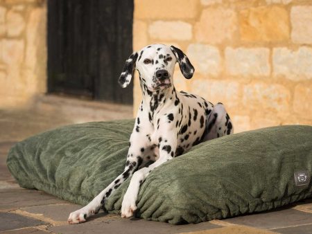 Bamboo Drying Cushion Cover in Fir by Lords & Labradors Online Sale