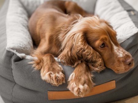 Essentials Twill Box Bed in Slate by Lords & Labradors Discount