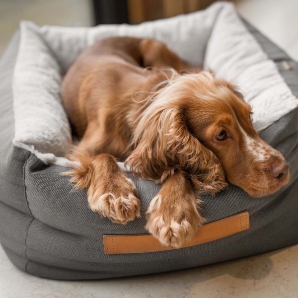 Essentials Twill Box Bed in Slate by Lords & Labradors Discount