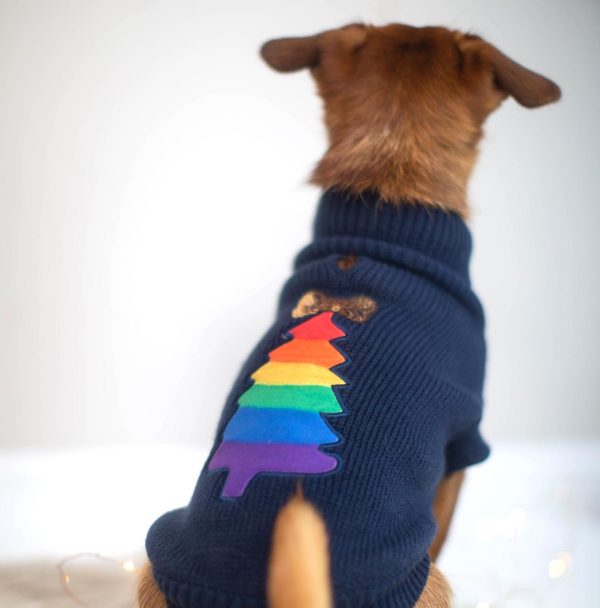 House of Paws Rainbow Christmas Jumper Online