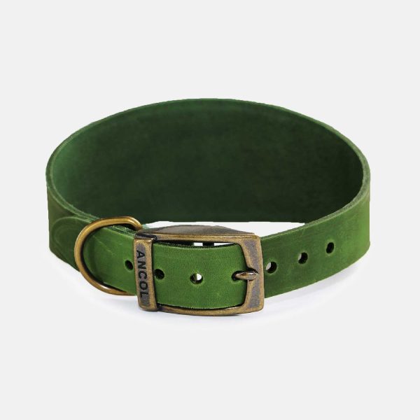 Ancol Timberwolf Whippet Collar For Discount