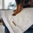 Essentials Twill Blanket in Linen by Lords & Labradors For Sale