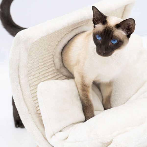 Little Rebels Denver 50cm Cat Bed Cheap