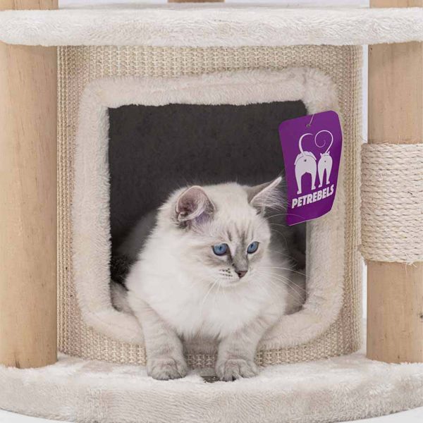 Little Rebels Tampa 70cm Cat Tree Sale