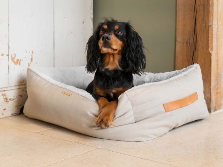 Essentials Twill Box Bed in Linen by Lords & Labradors For Cheap