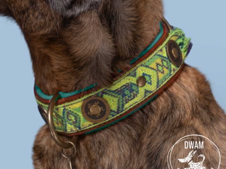 Boho Diego Dog Collar by DWAM Fashion