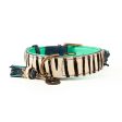 Zara Dog Collar by DWAM Online