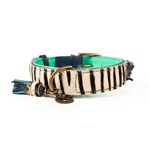 Zara Dog Collar by DWAM Online