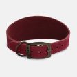 Ancol Timberwolf Greyhound Collar on Sale