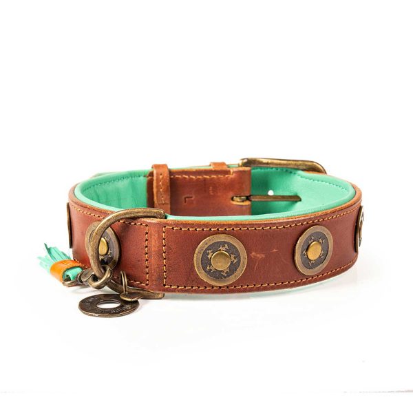 Urban Dog Collar by DWAM Online Hot Sale