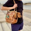 Blondie Dog Carrier by DWAM Online Hot Sale