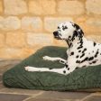 Bamboo Drying Cushion Cover in Fir by Lords & Labradors Online Sale