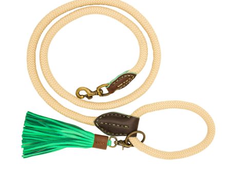 Sand Dog Lead by DWAM Discount