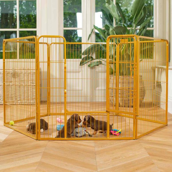 Puppy Play Pen & Crate Extension in Gold by Lords & Labradors For Sale