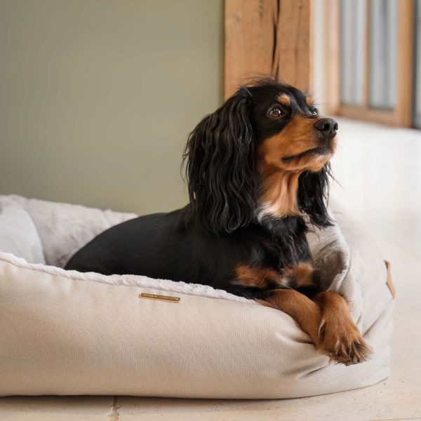 Essentials Twill Box Bed in Linen by Lords & Labradors For Cheap