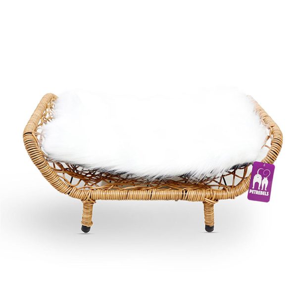 House of Heaven Rome Cat Bed Fashion