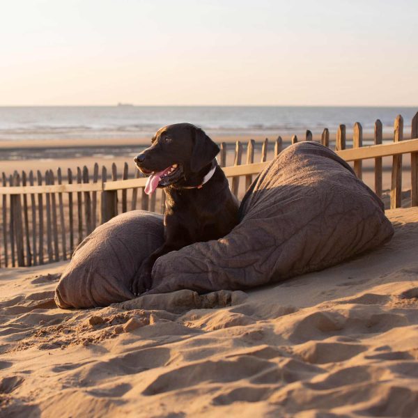 Bamboo Drying Cushion Cover in Mole by Lords & Labradors Cheap