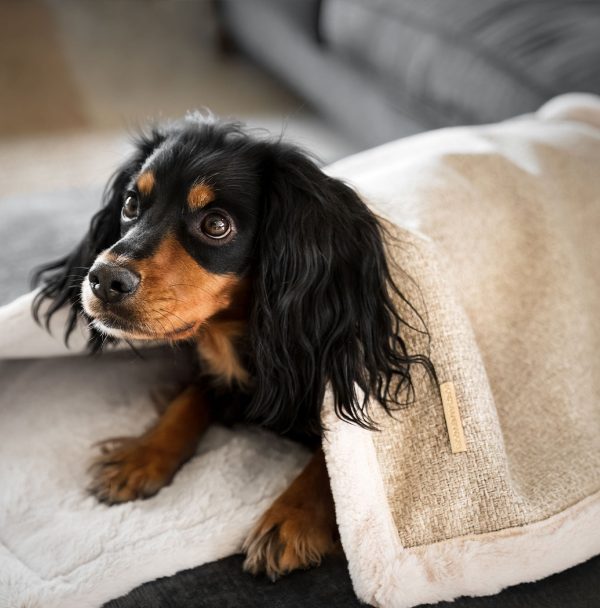 Essentials Herdwick Blanket in Sandstone by Lords & Labradors Online Hot Sale