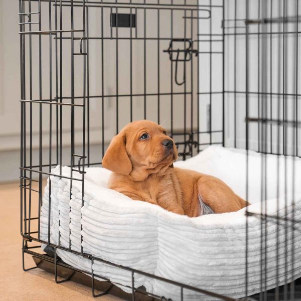 Cosy & Calming Puppy Crate Bed With Removable Covers in Light Grey Essentials Plush by Lords & Labradors For Sale