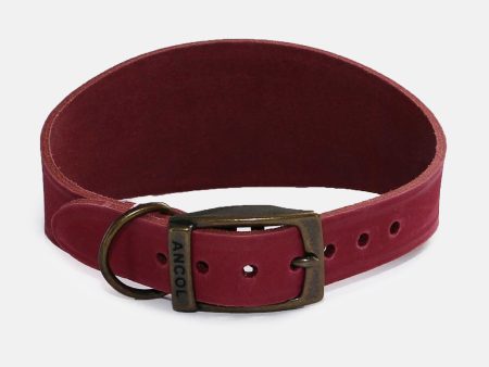 Ancol Timberwolf Whippet Collar For Discount