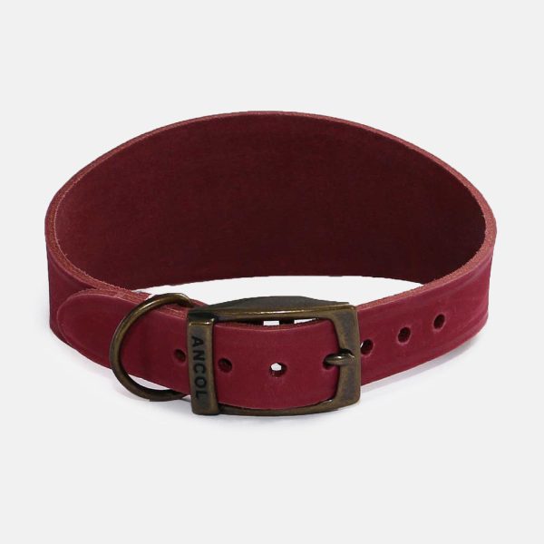 Ancol Timberwolf Whippet Collar For Discount