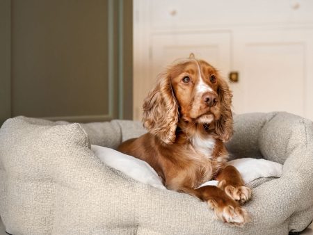 Essentials Herdwick Oval Bed in Sandstone by Lords & Labradors For Discount