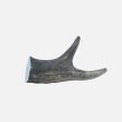 The Wild Antler Co Deer Antler For Cheap