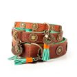 Urban Dog Collar by DWAM Online Hot Sale